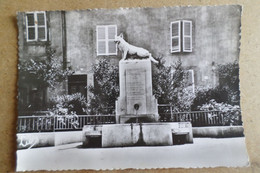 CIREY SUR VEZOUZE - Fontaine Du Loup ( 54 Meurthe Et Moselle ) - Cirey Sur Vezouze