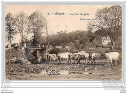 BLIER ..-- EREZEE ..-- Le Pont . Ah Les Vaches .  1907 Vers JUSLENVILLE ( Mr Charles SPIETERS  FILS ) . Voir Verso . - Erezée