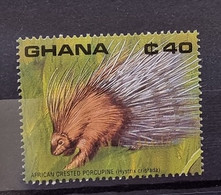 GHANA Porc Epic. Yvert N° 1142 Neuf Sans Charniere. Mnh - Roditori