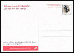 CP/BK** - 3266 - Delichon Urbica / Hirondelle De Fenêtre / Raamzwaluw - BUZIN - Iets Onvergetelijks Beleefd? - Zwaluwen