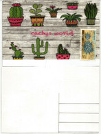 Desert Agave Cactus, Carte Maximum ETATS-UNIS  (série Cactus World) - Maximum Cards