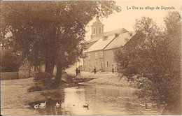 La Vire Au Village De Signeulx - Musson