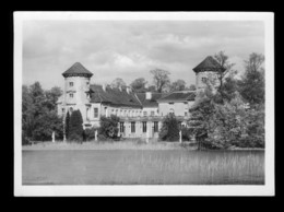 Allemagne Deutschland Rheinsberg Schloss ( Format 10,5cm X 15cm ) - Rheinsberg