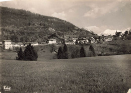 LE CHATELARD - VUE GENERALE - Le Chatelard