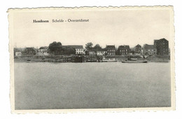 Hemiksem Schelde Scheldeboord De Schelde Overzetdienst (In Zeer Goede Staat) - Hemiksem