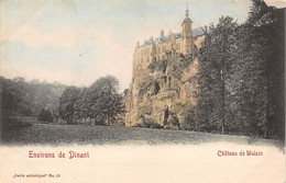 Environs De DINANT - Château De Walzin - Dinant