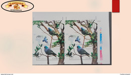 O) 2020 CUBA, CARIBBEAN, IMPERFORATED, BIRD, PIGEON - DOVE,  COLUMBA OENAS, CONSERVATION STATUS OF LESS CONCERN  LC, MNH - Non Dentellati, Prove E Varietà