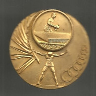 Médaille , Sports , TENNIS DE TABLE, Graveur AV, L.I.F 1973, 62 Gr., Dia. 53 Mm,  2 Scans , Frais Fr 3.35 E - Tennis Tavolo