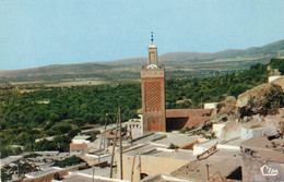 AFRIQUE DU NORD,africa,ALGERIE,TLEMCEN,oranie,maghreb,prés Maroc,MINARET - Tlemcen