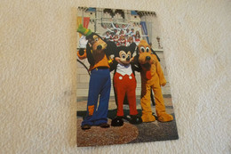 BELLE CARTE ...GOOFY..MICKEY ET PLUTO POSANT - Disneyworld