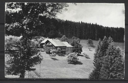 Carte P De 1952 ( Riggisberg ) - Riggisberg 