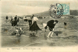 Trouville * La Pêche à L'équille * Pêcheurs à Pied - Trouville