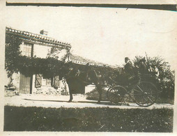 Mornes , Queaux ? * Attelage Cheval Cocher Au Village En 1914 * Lieu Dit Hameau - Autres & Non Classés