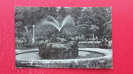 Bad Hall.Motiv Aus Dem Kurpark.Fountain - Bad Hall