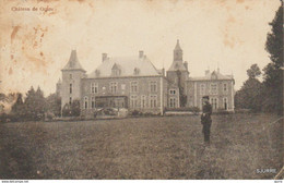 Grune / Nassogne - Château De Grune - Kasteel - Nassogne