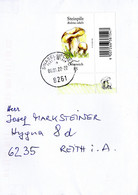 Brief Von 8261 Sinabelkirchen Postpartner Mit 85 Cent Steinpilz Eckrandstück 2022 - Storia Postale