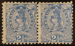 1895-97 2Â½d Blue Side-face, Perf. 10x11, SG 230, Mint Horizontal Pair.Â  - Other & Unclassified