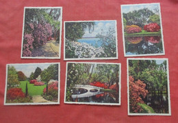 Lot Of 6 Cards.   Magnolia Gardens.   Charleston - South Carolina > Charleston    Ref 5643 - Charleston