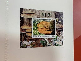 Korea Stamp Imperf Mushrooms MNH - Corea Del Nord