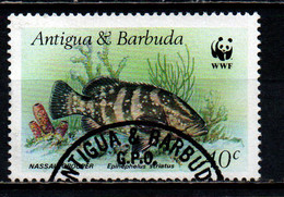 ANTIGUA - 1987 - Nassau Grouper - USATO - Barbuda (...-1981)