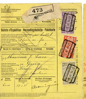 BELGIQUE BULLETIN EXPEDITION COLIS POSTAUX 1925 VERVIERS CENTRAL N°14 => FRANCE - Cartas