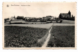 Grez Doiceau - Panorama De Biez - Edit. Imp. L. Michaux, Grez Doiceau - Graven