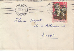 KITTENS, STAMP ON COVER, 1965, ROMANIA - Brieven En Documenten