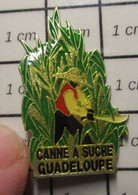 3117 Pin's Pins / Beau Et Rare / THEME ALIMENTATION / LA CANNE A SUCRE GUADELOUPE CHAPEAU MACHETTE - Alimentation