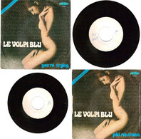 LE VOLPI BLU RARO PROMO 45 Giri Del 1977 YOU'RE TRYING / PIU' NESSUNA - Altri - Musica Italiana