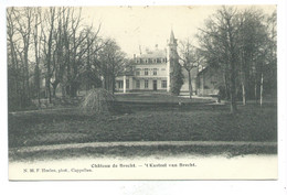 Château De Brecht Kasteel F. Hoelen, Phot. Cappellen N. 96 - Brecht