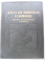 Atlas De Zoölogie Fermière - Musée D'anatomie Animale - Le Cheval La Vache Le Porc La Truie Le Mouton Le Coq La Poule - Animaux