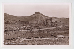 Syria Syrien Syrie Palmyra Tadmor General View Vintage Photo Postcard RPPc CPA (29396) - Syrië