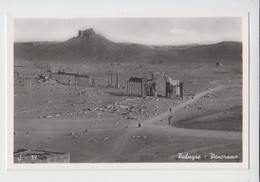 Syria Syrien Syrie Palmyra Tadmor General View Vintage Photo Postcard RPPc CPA (29394) - Syrië