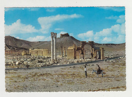 Syria Syrien Syrie Palmyra Tadmor General View Vintage Photo Postcard RPPc CPA (29594) - Syrië