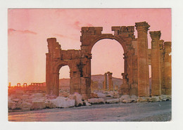 Syria Syrien Syrie Palmyra Tadmor Arch Of Triumph View Vintage Photo Postcard RPPc CPA (29598) - Syrië