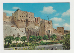 Syria Syrien Syrie Aleppo Castle Citadel View Vintage Photo Postcard RPPc CPA (29558) - Syrië