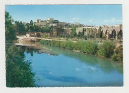 Syria Syrien Syrie Hama Noria Norias Of Hama Irrigation Water Mill Water Wheel View Vintage Photo Postcard CPA (29555) - Syrië