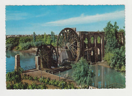 Syria Syrien Syrie Hama Noria Norias Of Hama Irrigation Water Mill Water Wheel View Vintage Photo Postcard CPA (29554) - Syrië