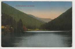 Herzbergerteich Bei Goslar, Niedersachsen - Goslar