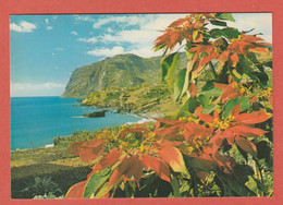 CP EUROPE PORTUGAL CABO GIRAO 1 - Madeira