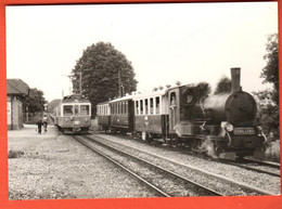 ZPR-02 Ligne De Train Lausanne-Echallens-Bercher Croisement à Assens Photo Rochaix En 1980 NC GF - Assens