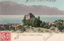 SUISSE,HELVETIA, ,ile Aux Mouettes,ile De Salagnon,montreux,clarens ,lac Léman,CHATELARD,1905 - Montreux