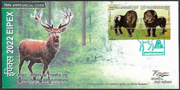 India 2022 Sambar Deer State Animal Of Odisha , Fauna , Gold Lion , Nature Prey Predator Cover (**) Inde Indien RARE - Covers & Documents