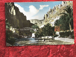 Blida Ex-Algérie Française-Paysages Du Sud-Portes Désert-Carte Postale-☛CPSM-☛Post Card-1957-lettre D'amour- - Blida