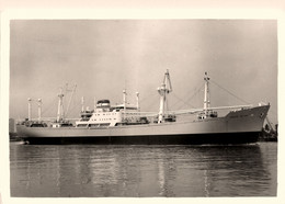 HÖEGH ELAN Oslo * Carte Photo * Bateau Commerce Cargo Paquebot * Fcompagnie Société Norge Norway Norvège - Handel