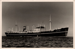 TAMERLANE * Carte Photo * Bateau Commerce Cargo Paquebot * Wilhelmsen Norge Norway Norvège - Koopvaardij