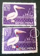 Birds Pelicans Errors Stamps Romania 1957 # Mi 1691, Birds Printed Wirh Broken Letters From PELICAN - Variedades Y Curiosidades