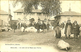 03 MOULINS LA VENTE DES COCHONS SUR LA PLACE AUX FOIRES BELLE CARTE CERTE MAIS LE TEXTE AU DOS EST ENCORE PLUS BEAU - Moulins