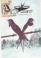 ANIMALS, BIRDS, BARN SWALLOW, CM, MAXICARD, CARTES MAXIMUM, 1993, ROMANIA - Swallows