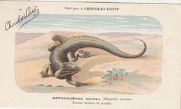 ***  ANIMAUX ***  CPA   Saurien  - Reptiles  METOPOCEROS CORNU Antilles  --  Chocolat Louit  --neuve/unused  TTB - Tortugas